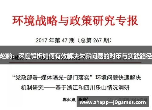 赵鹏：深度解析如何有效解决欠薪问题的对策与实践路径