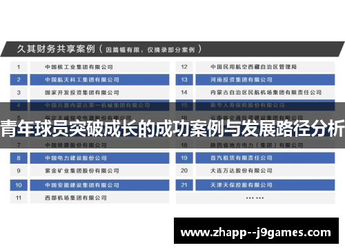 青年球员突破成长的成功案例与发展路径分析